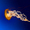 aceofspades82