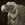 UrbanVulture