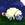 Sheep007