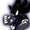 edragon2