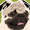 salem819