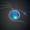 Arkbird1229