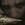 LordSycosis