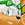 Nintendo777