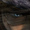 daggereye