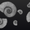 Ammonite