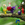 superpikmin2