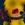 Darkachu3