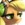 AppleJack