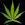 Tincannabiscuits