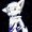 FoxLight