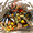 SonicX890