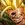 masterdestory15