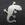 SilverGecko