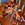 johnnytest27