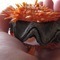 FossilClam
