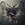 darkblood45