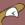 BoomerangClock
