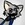 luxiofox