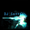 DjSkyFall