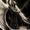 UNHUNTED
