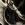 UNHUNTED