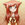 KiwiPaste