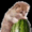 thewatermeloncult