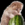 thewatermeloncult