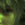 Synergist
