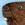 BraveBeaver