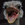 Mumbo