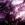 ThePurple