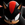 shadowthehedghog1011