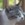 RedCat9