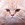 Jmozfirebang6