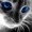 Kitty0527