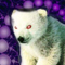 POLARuk
