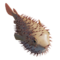 LeoBrekalini