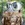 OwlEyes19