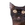 KittyCat55