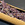 ocelot788