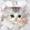 LittleKitty33