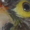 megachicken