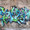 BlueVenom7