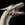 Dragonhermit