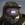 WardSteel8