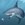 sharkbaitchris