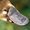 TheAwsomePlatypus