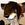 EmoFox1992